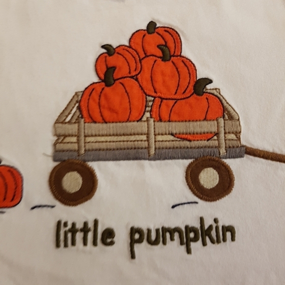 Gymboree boys size 3T pumpkin shirt - Picture 2 of 4